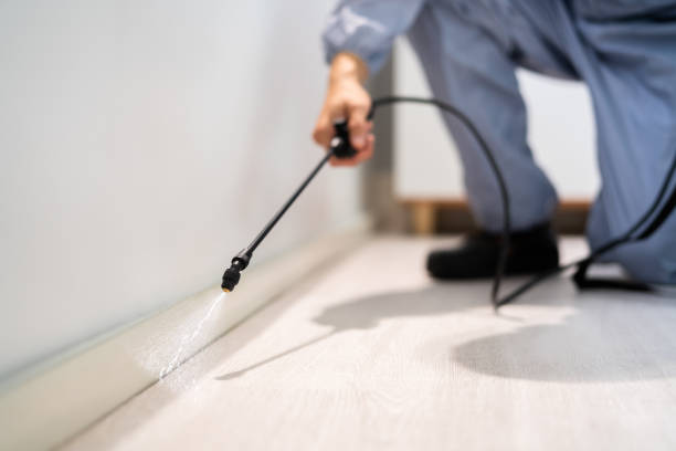 Bed Bug Pre-Treatment Preparation Assessment in Severance